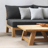 Modern living room with a gray sofa, wooden coffee table, and side table with plants.