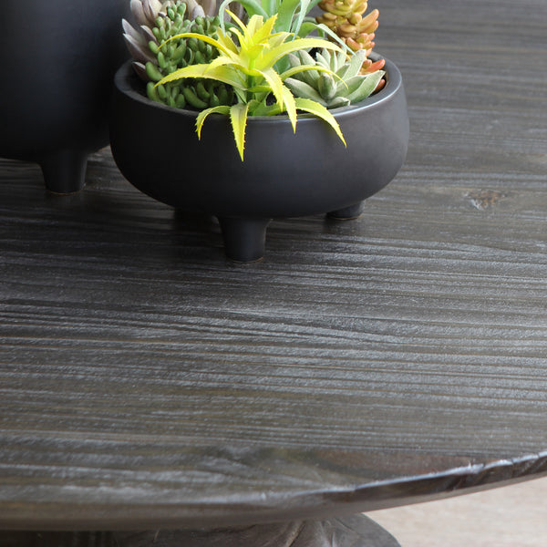 Bali Coffee Table top's texture with potted plant on top.