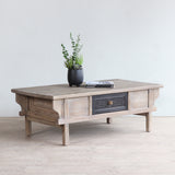 LUNAR Rattan Coffe Table with decorative plant and books on top of it.