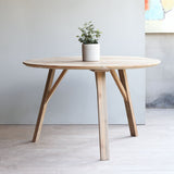 Xie Indoor Dining Table with a potted plant on top of it.