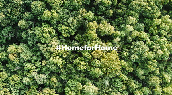 #HomeforHome : Help Save Bedono Resident's Homes