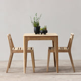 Wooden dining table with two chairs and small plants on a plain background