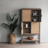 Reclaimed pine wood cabinet with open doors displaying various items, next to a plant in a room with a gray wall.