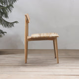 Wooden chair on a wooden floor with a plant in the background