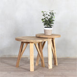 Round nesting coffee table with a decorative plant on top.